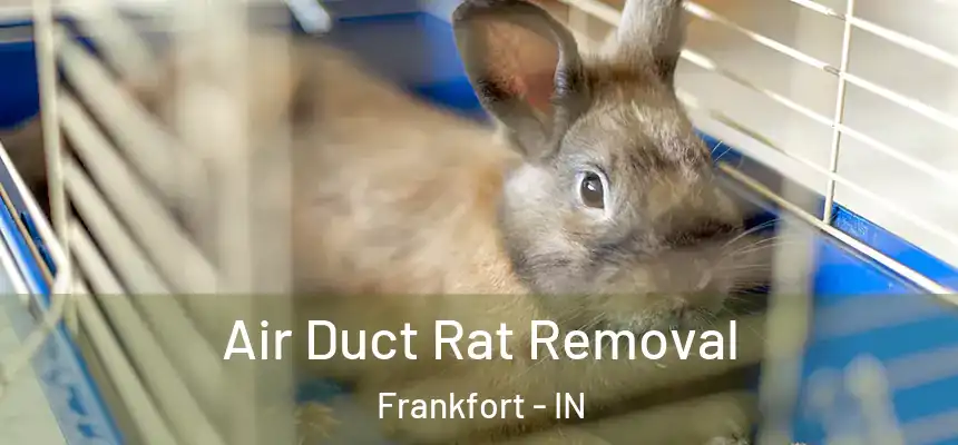  Air Duct Rat Removal Frankfort - IN