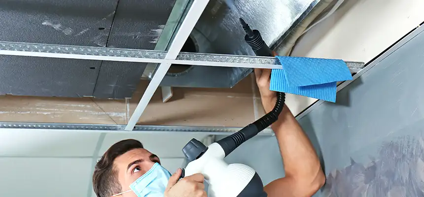 Our Air Duct Rodent Removal Services in Frankfort, IN