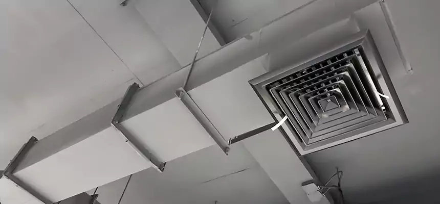 Our Rodent Droppings In Vents Services in Frankfort, IN