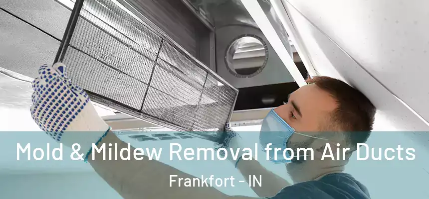  Mold & Mildew Removal from Air Ducts Frankfort - IN