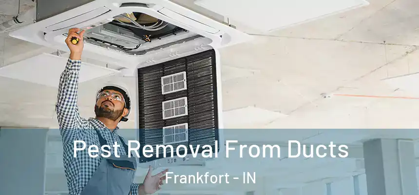  Pest Removal From Ducts Frankfort - IN