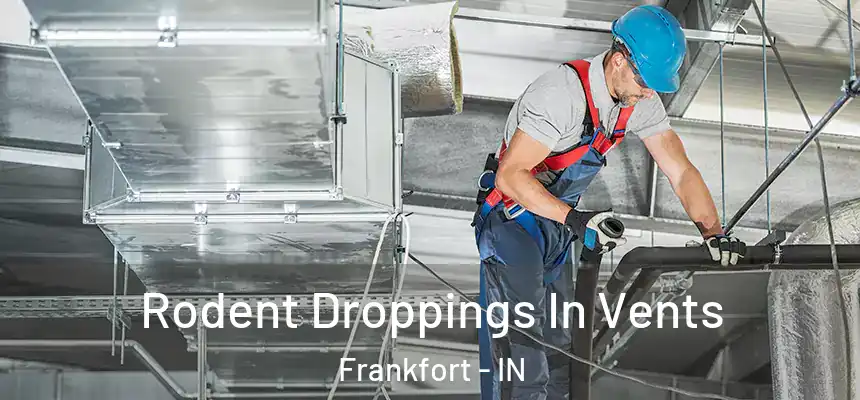  Rodent Droppings In Vents Frankfort - IN