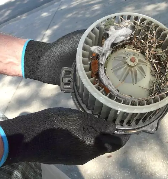 About Air Duct Rat Removal in Frankfort, IN