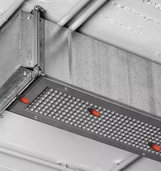 Affordable Insect Removal from Air Ducts in Frankfort, IN