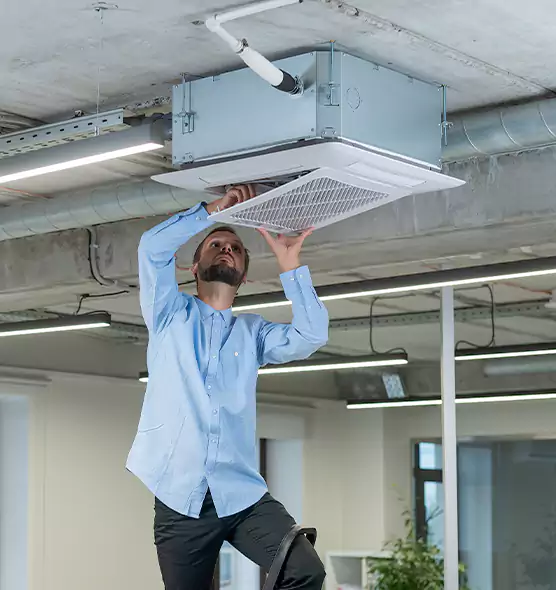 Advanced Rodent Droppings In Vents in Frankfort, IN