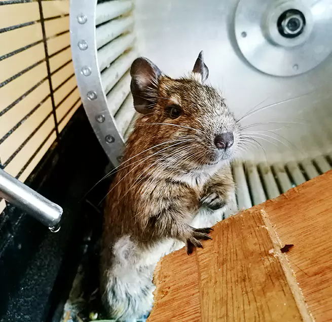 Why Homeowners & Businesses Trust Us Frankfort, IN