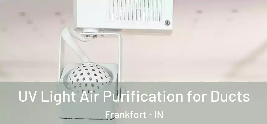  UV Light Air Purification for Ducts Frankfort - IN
